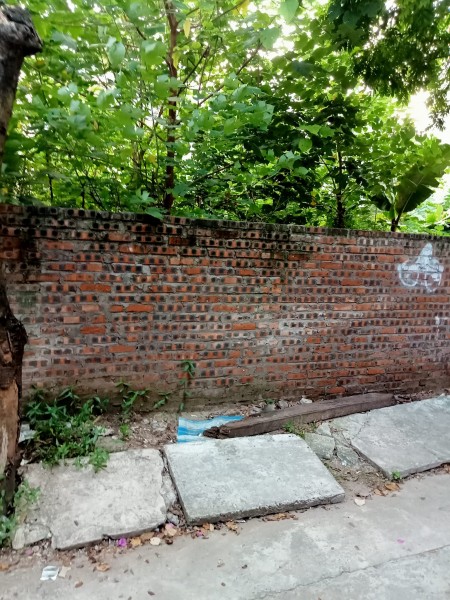 Siêu Rẻ!! Đất Đẹp Thanh Trì 58m2, Mặt Tiền 6.7m, Ngõ Ô Tô Tránh Vào Nhà Chỉ 50tr/m2