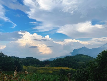 Bán lô đất diện tích rộng 1000m2 đất trung tâm Y Tý- giá phù hợp để đầu tư tiện ích đầy đủ
