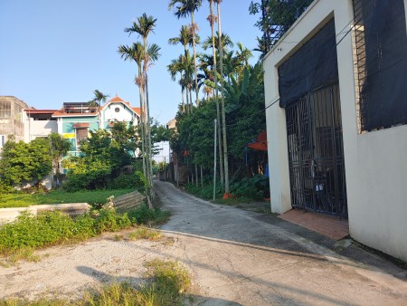 Bán đất ngõ Thành Tô, Tràng Cát, Hải An diện tích sử dụng 273m2 giá bán 13 triệu/m2