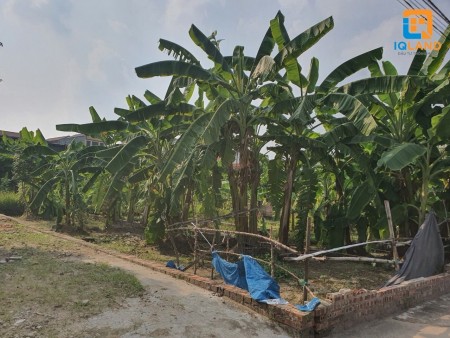 Thanh lý gấp lô đất 75m2 tại Khê Nữ, Nguyên Khê, Đông Anh. LH 0362608492