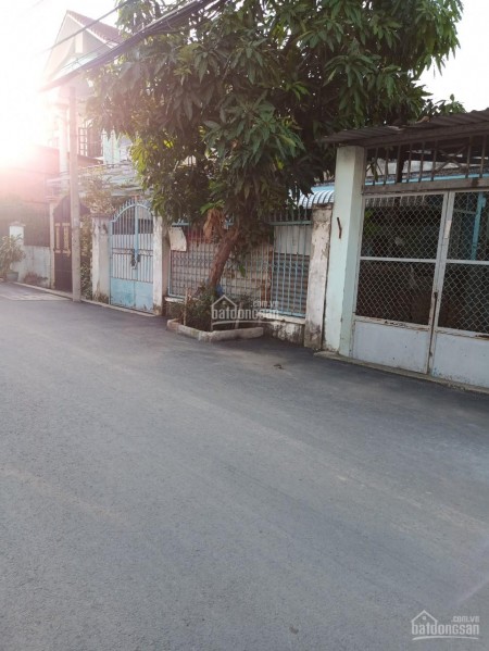 Cho thuê nhà cấp 4 Hẻm 740 Quốc Lộ 13 phường Hiệp Bình Chánh, Quận Thủ Đức