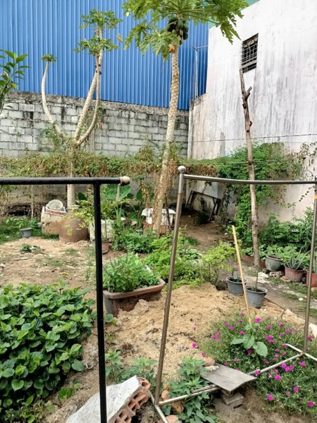 Bán đất thổ cư gần chợ sổ hồng riêng chính chủ giá bán 1.7 tỷ, thương lượng lô đất 100%