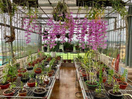 Bán nhà riêng ngõ phố Nguyễn Chính – Hoàng Mai – Ô tô tránh – Giá 7,4 tỷ.