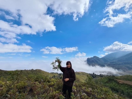 Đất pháp lý an toàn sổ hồng hiếm có tại Y Tý Bát Xát Lào Cai, vị trí trung tâm hàng chính