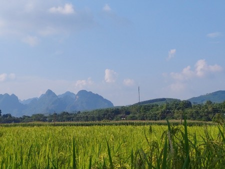 Đi đến slide 2