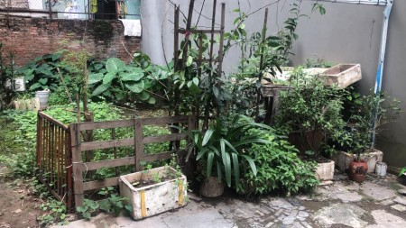 Đất Phố Trạm, Quận Long Biên, diện tích sử dụng 59m2, mặt tiền 4.8, giá bán chỉ 2.85 tỷ
