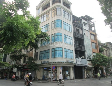 Bán nhà mặt phố lô góc Láng Hạ Đống Đa, diện tích 100m2, 5 tầng, kinh doanh, lh 0978439490