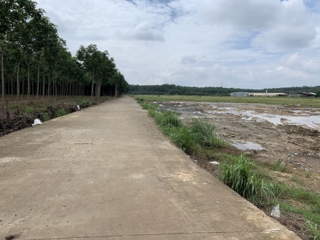 Chính chủ gởi bán lô đất thành phô Đồng Xoài ngay sau khu công nghiệp Bắc Đồng Phú