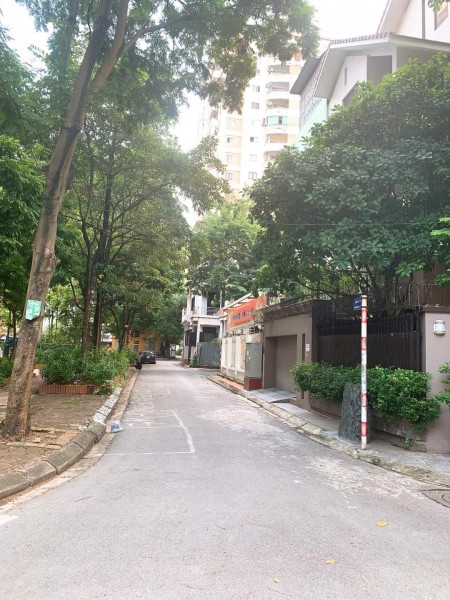 Biệt thự lô góc đẳng cấp kinh doanh đỉnh vị trí điểm 10 trong khu đô thị Mỹ Đình 1, sổ sẵn