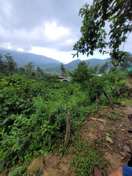 Đi đến slide 2