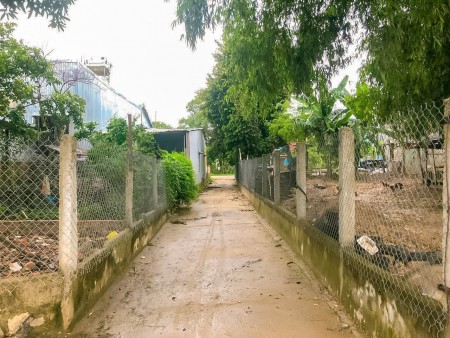 Đi đến slide 5