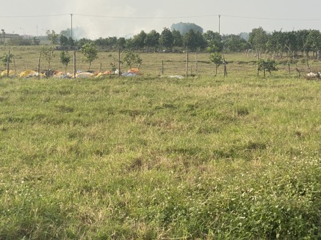 Bán 2,2Ha đất CN tại Trâu Quỳ, Gia Lâm. Vị trí đẹp, mặt tiền rộng, đường lớn, giá rẻ.