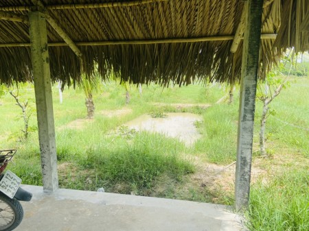 Đi đến slide 5