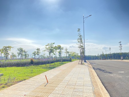 Đi đến slide 5