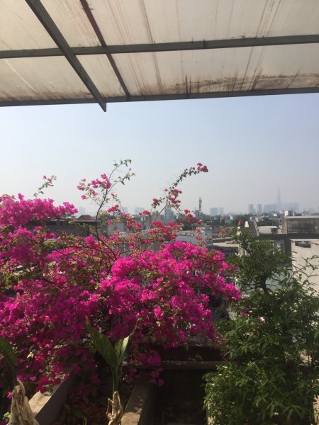 Nhà kiểu hiện đại diện tích sử dụng 79m2 đường 38, Hiệp Bình Chánh, Quận Thủ Đức