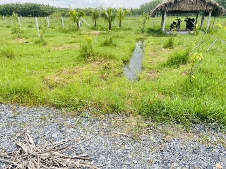 Đất nằm ngay khu dân cư đông đúc, bao quanh là nhiều khu công nghiệp lớn sang tên công chứng ngay