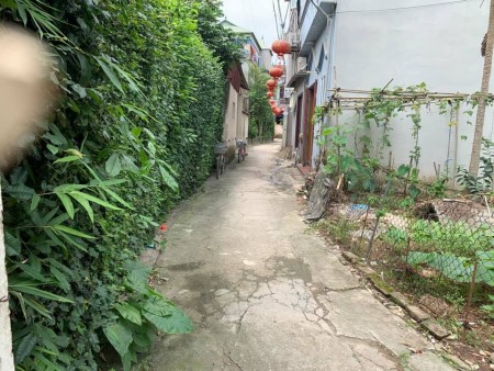 Bán mảnh đất vuông đét như tờ A4 Gia Cốc , Kiêu Kỵ, Gia Lâm đường lớn, xe vào tận đất