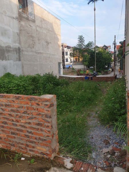 Bán đất làm nhà xưởng, chia lô ở mặt đường Nguyễn Khoái, Hoàng Mai, 133m2, nhỉnh 6 tỷ.