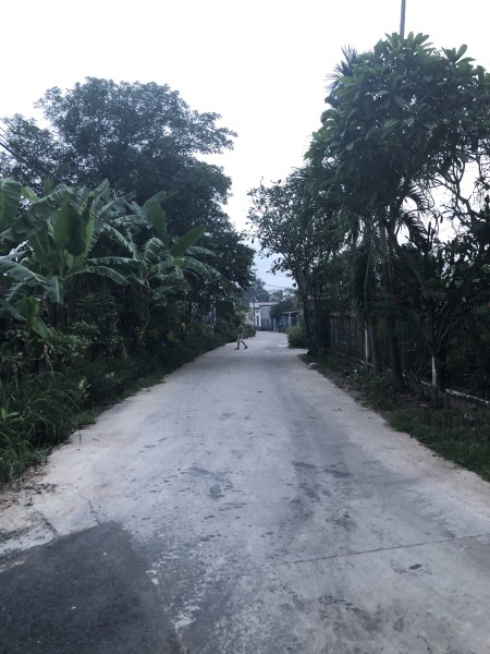 Ra gấp lô đất rộng 1011m2 đất sau vườn nhà giá 560 triệu tiện ích đầy đủ, giá tốt tiện kinh doanh