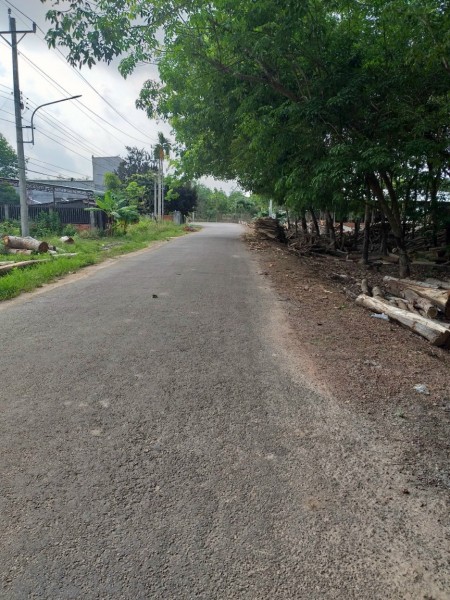 Chính chủ bán gấp diện tích 1190m2 đất mặt tiền đường giá 450 triệu, khu dân cư sống đông