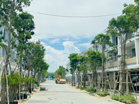 Đi đến slide 12