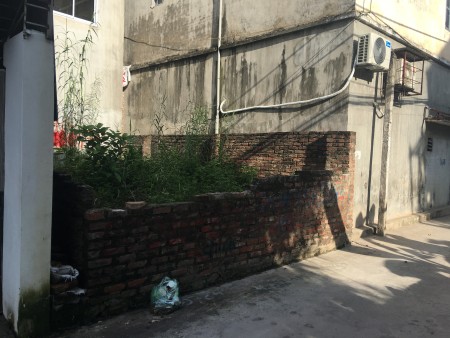 Phân lô ô tô tránh, bán lô đất 56m2, giá 5.x tỷ Tứ Liên Tây Hồ, khu an sinh đỉnh, tiện đầu tư