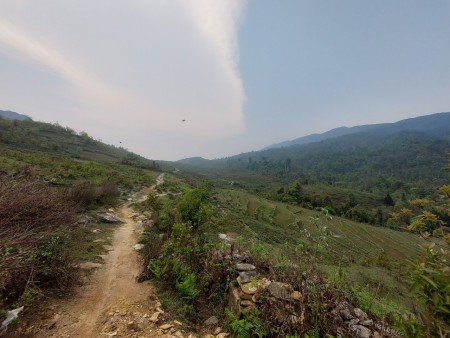 Đất hơn 2000m2 thôn Mò Phú Chải - View rừng già - cực thích hợp làm Homestay