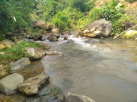 Đi đến slide 6