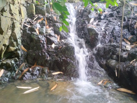 Đi đến slide 4