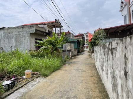 Bán lô đất chính chủ diện tích 112m2 Đạc Tài – Mai Đình, trục xương cá đường 3m giá 10tr/m2