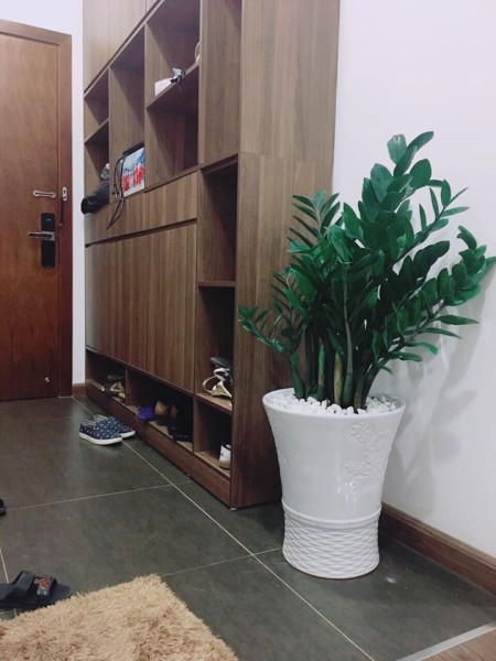 Cho thuê chung cư trục đường Giải phóng Đại từ Trương Định đầy đủ nội thất, vào ở ngay