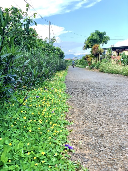 Đi đến slide 7