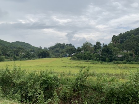 Siêu phẩm diện tích 3300m2 có 600m2 thổ cư tại Mãn Đức-Tân Lạc liên hệ xem đất 0833066663