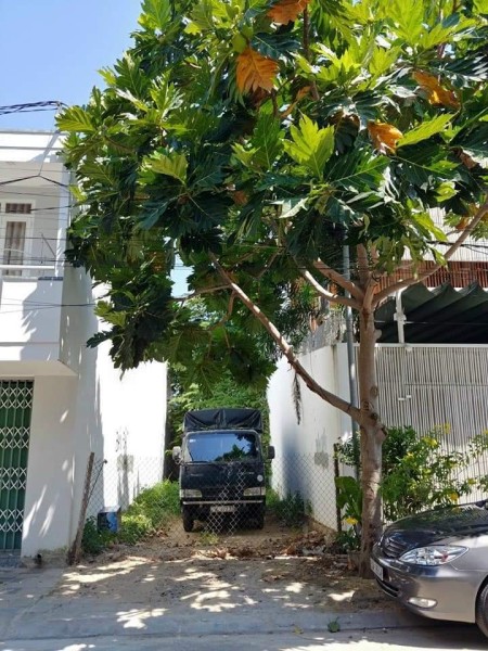 Bán đất mặt tiền B1, nằm gần VCN Phước Hải, Nha Trang giá bán 3.75 tỷ, sổ sẵn chính chủ