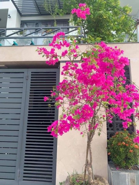 Nhà dòng tiền mặt Quốc Lộ 32 Nhổn, 13 phòng, diện tích 100m2, 4,5 tầng giá chỉ 70 triệu/m2