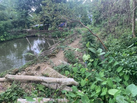 Đi đến slide 3