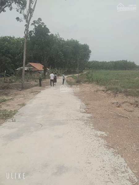 Còn 1 lô duy nhất 250m2 siêu rẻ