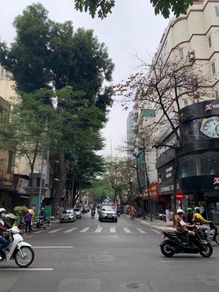 Đất vàng phố Huế Quận Hai Bà dtsd 66m, cấp 4 giá 22 tỷ, giá cực tốt, kinh doanh đỉnh