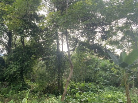 Phú Cương Tân Lac.2844m. điểm đến thiên nhiên