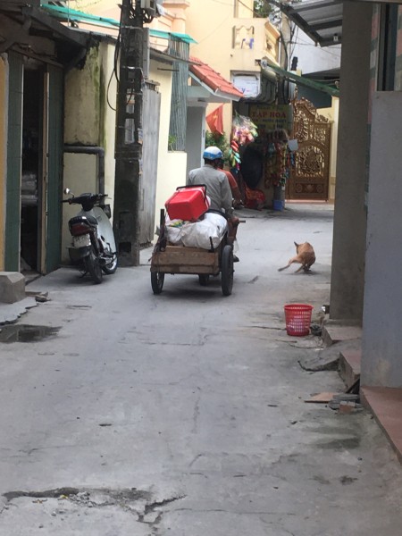 Đi đến slide 11