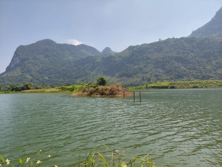 Đi đến slide 6