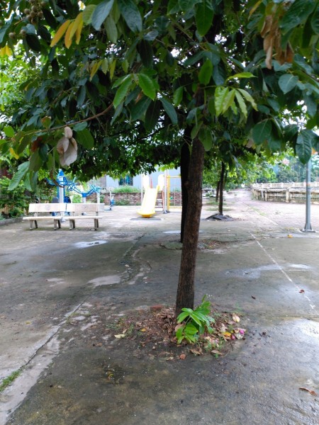 Đi đến slide 3