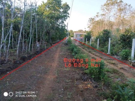 3,1 hecta, xã Phú Thành, Tân Phú, cách cao tốc 3 km, cách trung tâm Tân Phú 5 km