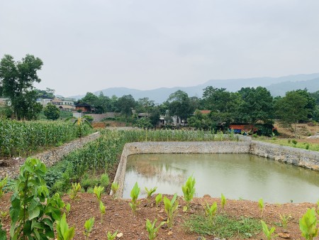 Siêu phẩm hàng hiếm nghỉ dưỡng bám đường lớn, có sẵn ao giá cực rẻ ở Cư Yên -Lương Sơn