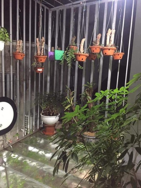 Nhà Đẹp,Ngõ Thoáng,Phố Nguyễn Viết Xuân,Gần Hồ,Lô Góc:47m,3 Tầng,Giá 3,15 Tỷ