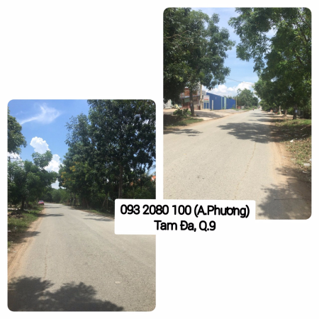 Cho thuê đất mặt tiền đường Tam Đa, phường Trường Thạnh, Quận 9