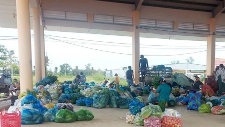 Đất nền chợ mới Thạnh Phú giá tốt full thổ cư giá tốt chỉ từ 12,9tr