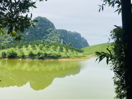 Đi đến slide 6