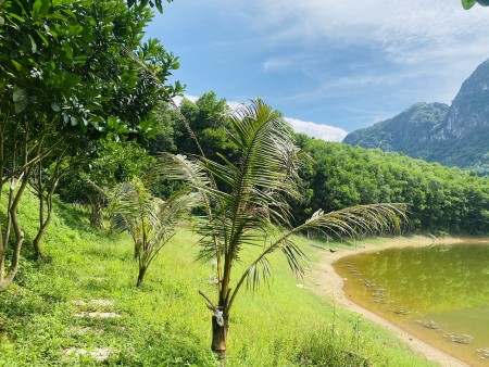 Đi đến slide 5