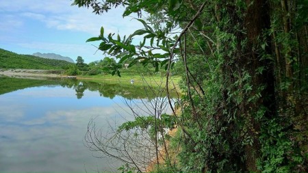Đi đến slide 4